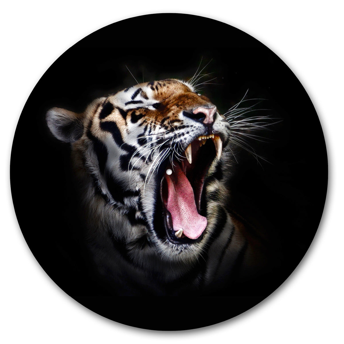 Roaring Tiger image 0