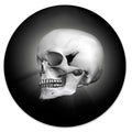3D Skull image 0