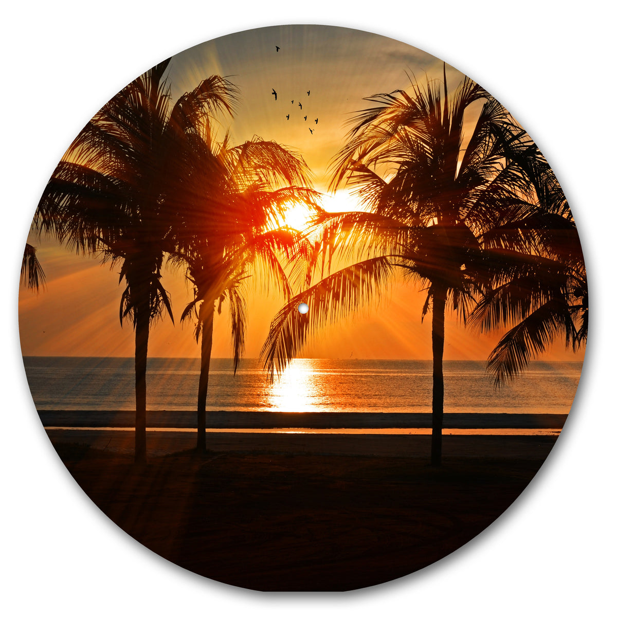 Sunset Silhouette image 0