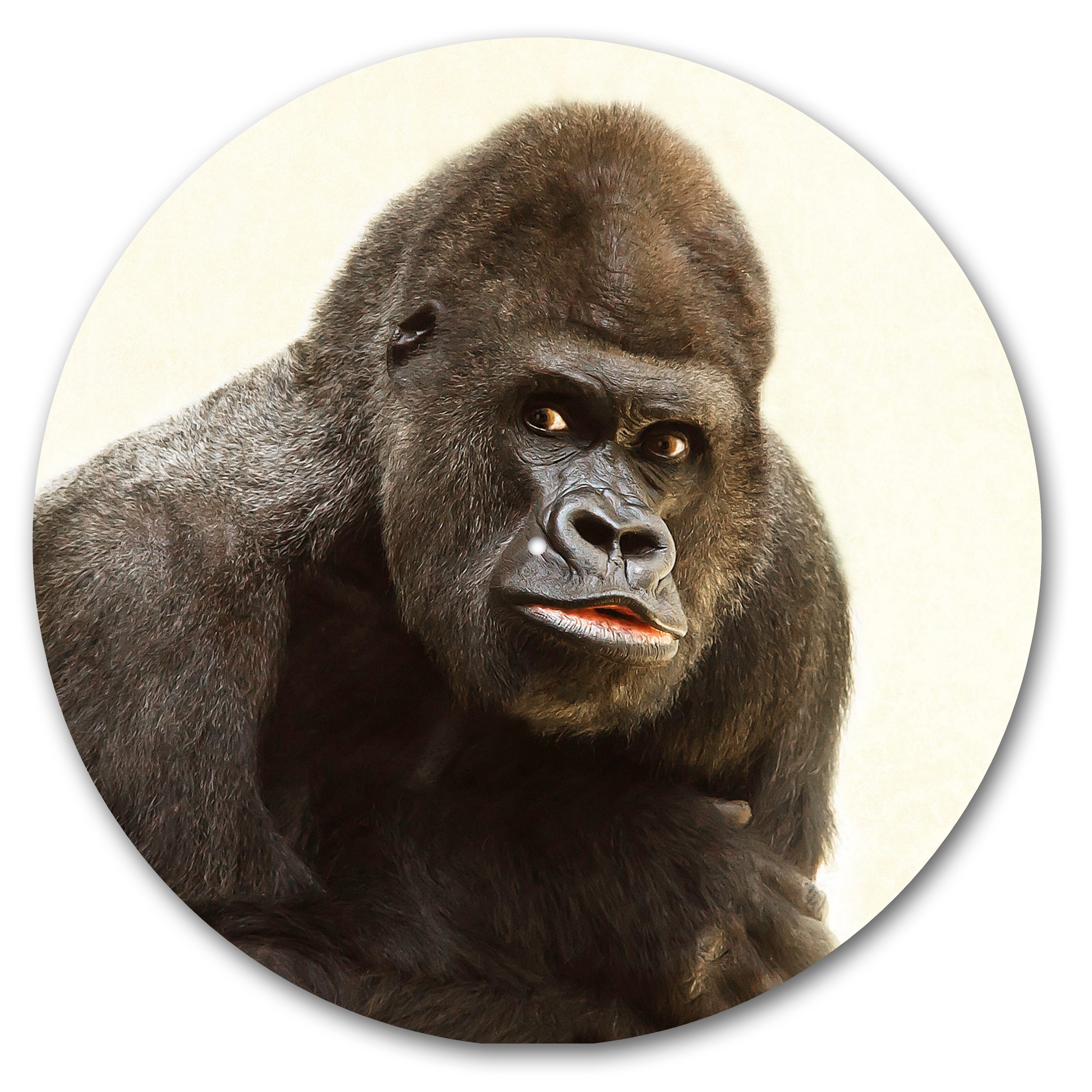 Gorilla Face image 0