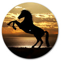 Horse Sunset Silhouette image 0