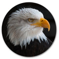 Bald Eagle image 0