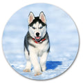 Husky Dog on Ice image 0