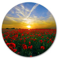 Poppy Field Sunset image 0