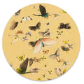 Butterflies image 0